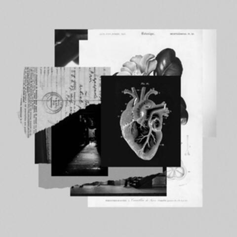 Corazón/Razón album art