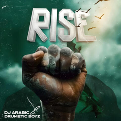Rise album art