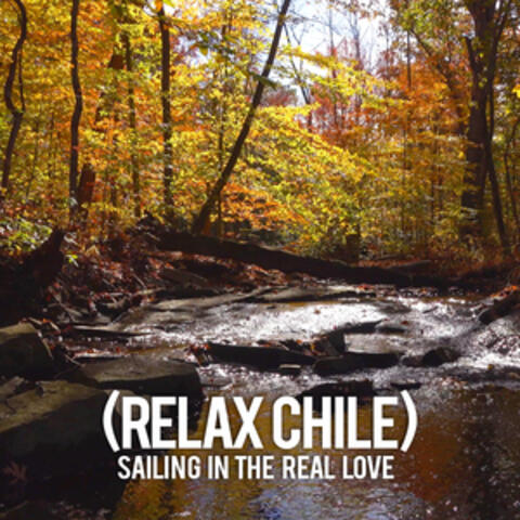 Sailing in the real love album art