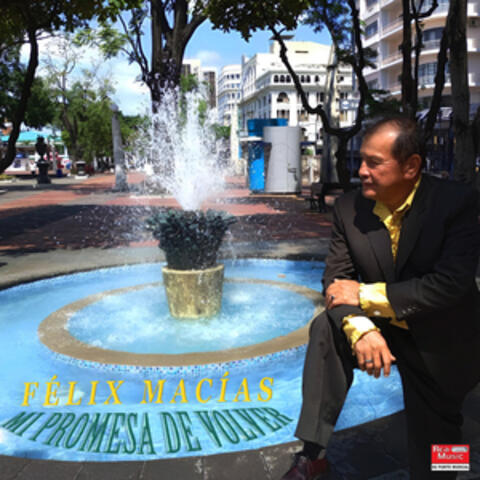 Mi Promesa De Volver album art