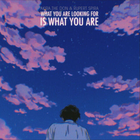 WHAT YOU ARE LOOKING FOR IS WHAT YOU ARE album art