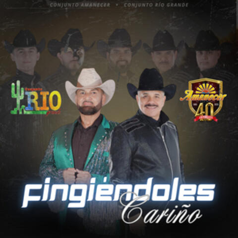 Fingiéndoles Cariño album art