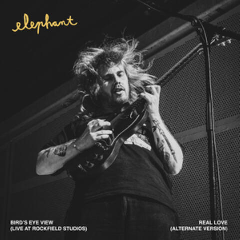 Bird's Eye View & Real Love album art