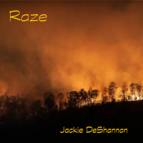 Raze album art