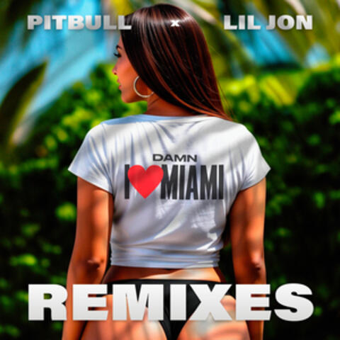 Damn I Love Miami album art