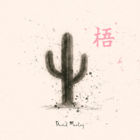 CLINT EASTWOOD album art