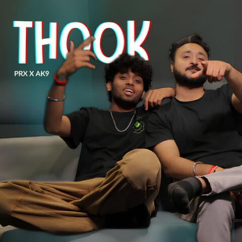 Thook album art