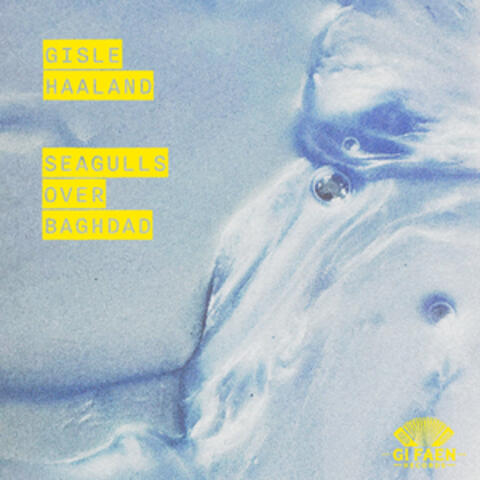 Seagulls over Baghdad album art