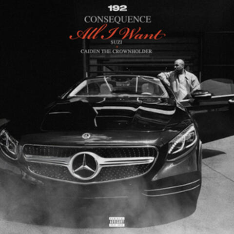 All I Want album art