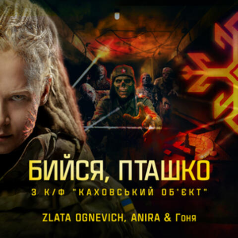 Бийся, пташко album art