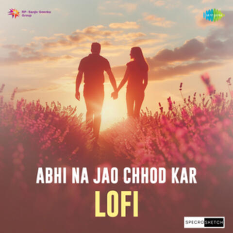 Abhi Na Jao Chhod Kar album art