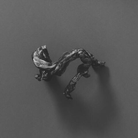 The Second Chamber album art