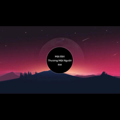 Một Đời Thương Một Người (Remix) album art