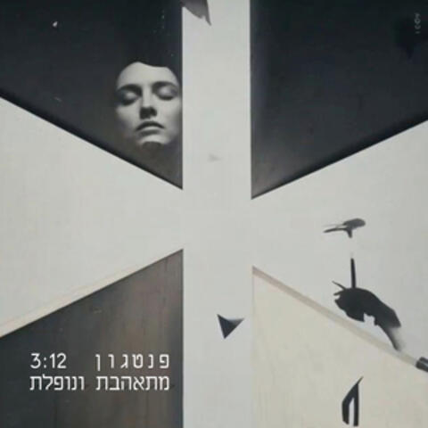 מתאהבת ונופלת album art