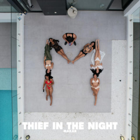 Thief In The Night album art