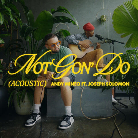 Not Gon' Do (Acoustic) album art