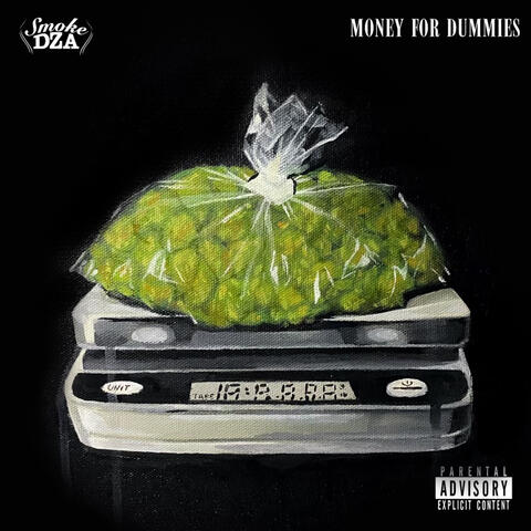 Money For Dummies album art