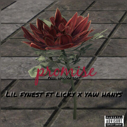 Promise album art