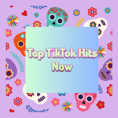 TikToks Most Viral Hits album art