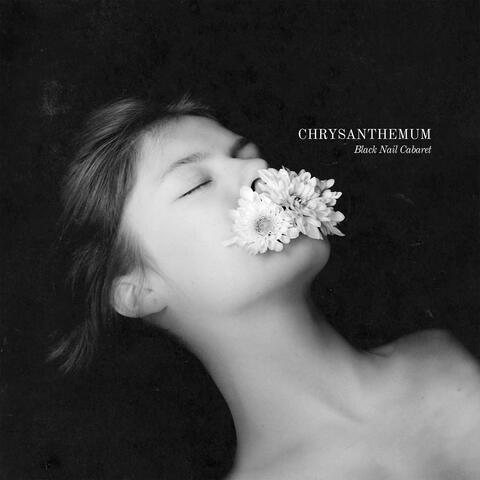 Chrysanthemum album art