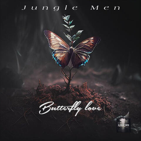 Butterfly love album art