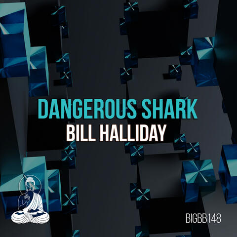 Dangerous Shark album art