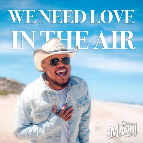 We Need Love in the Air album art