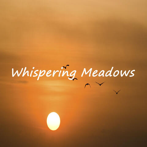 Whispering Meadows album art