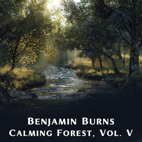Calming Forest, Vol. V album art