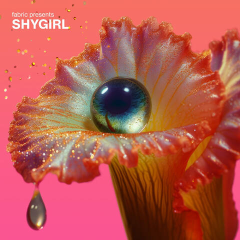 fabric presents Shygirl album art