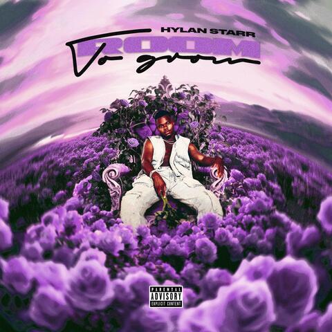 Room To Grow (Deluxe) album art