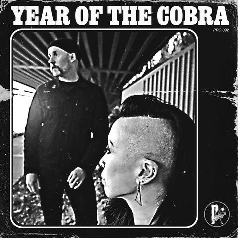 Year Of The Cobra album art