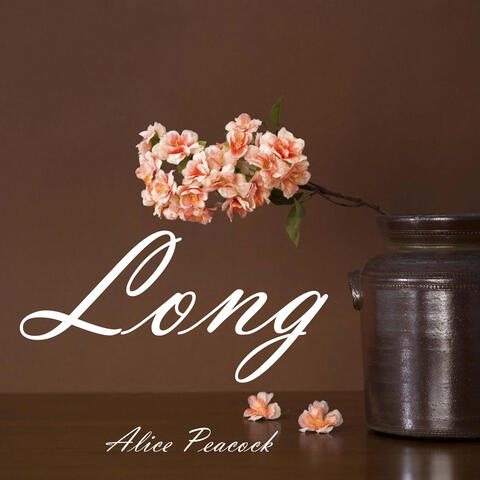 Long album art