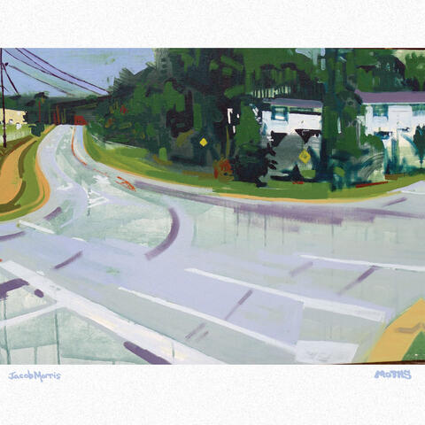 Moths album art
