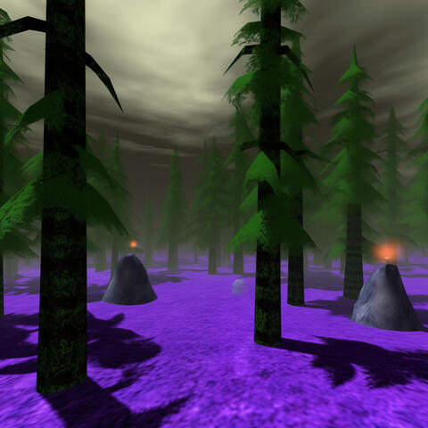 lost forest album art