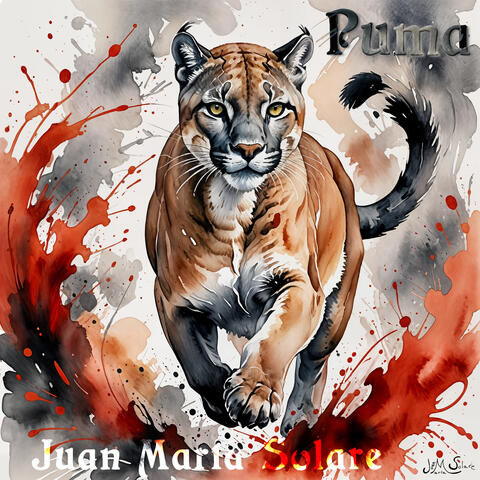 Puma album art