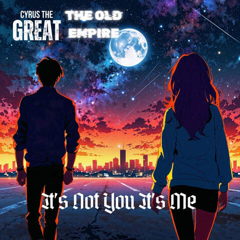 It's Not You It's Me album art