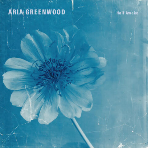 Half Awake album art