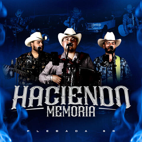 Haciendo Memoria album art