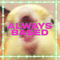 Thumbnail Image