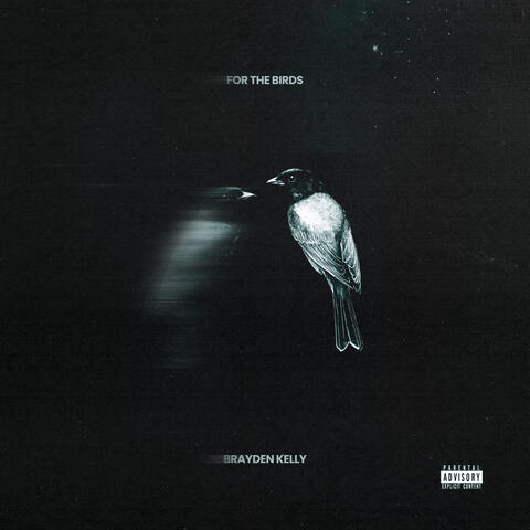 FOR THE BIRDS album art