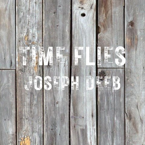 Time Flies album art