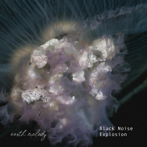 Black Noise Explosion album art