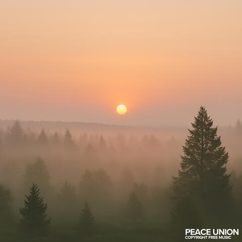 As it Unfolds album art