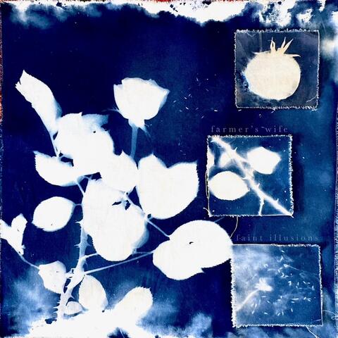 Faint Illusions album art