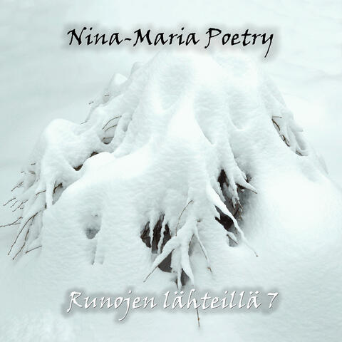 Runojen lahteilla 7 album art