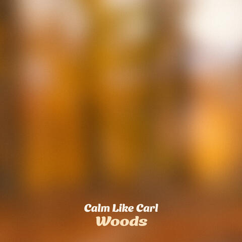 Woods album art