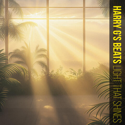 light that shines album art