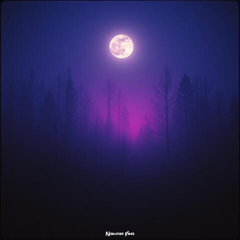 Nightfall Vibes album art
