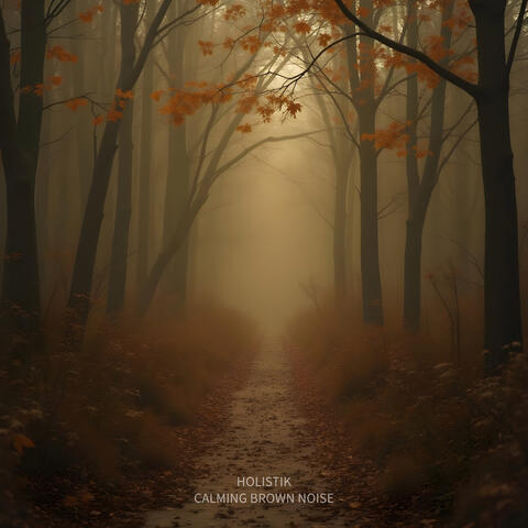 Calming Brown Noise album art